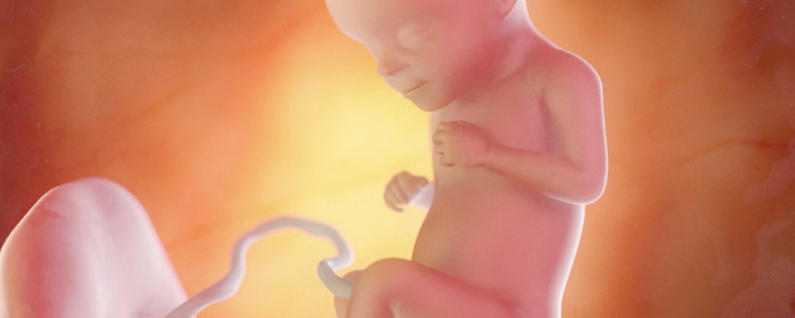 Gravid uge 30 - Graviditet uge for - Libero