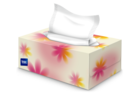 Slider thumbnail image for Tempo Everyday XXL Box 10