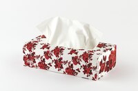 Tempo Fazzoletti in scatola : design e morbidezza