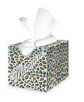 Tempo Fazzoletti Light Box